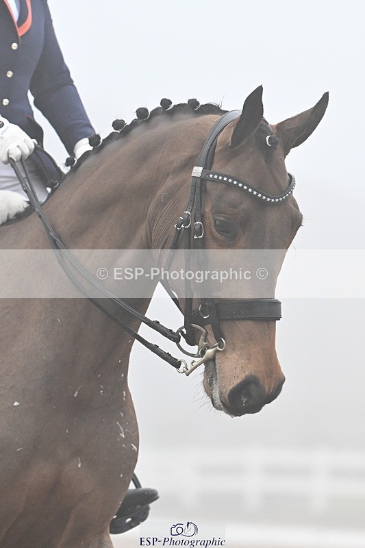 240217A-105221-01499 - 128-Tyler.Bradshaw-Mexx