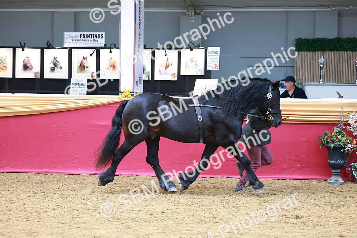 SBM_04383 - Regional IH Championship