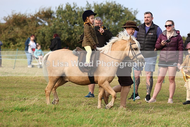 3E7A3460 - Class 2: Lead rein