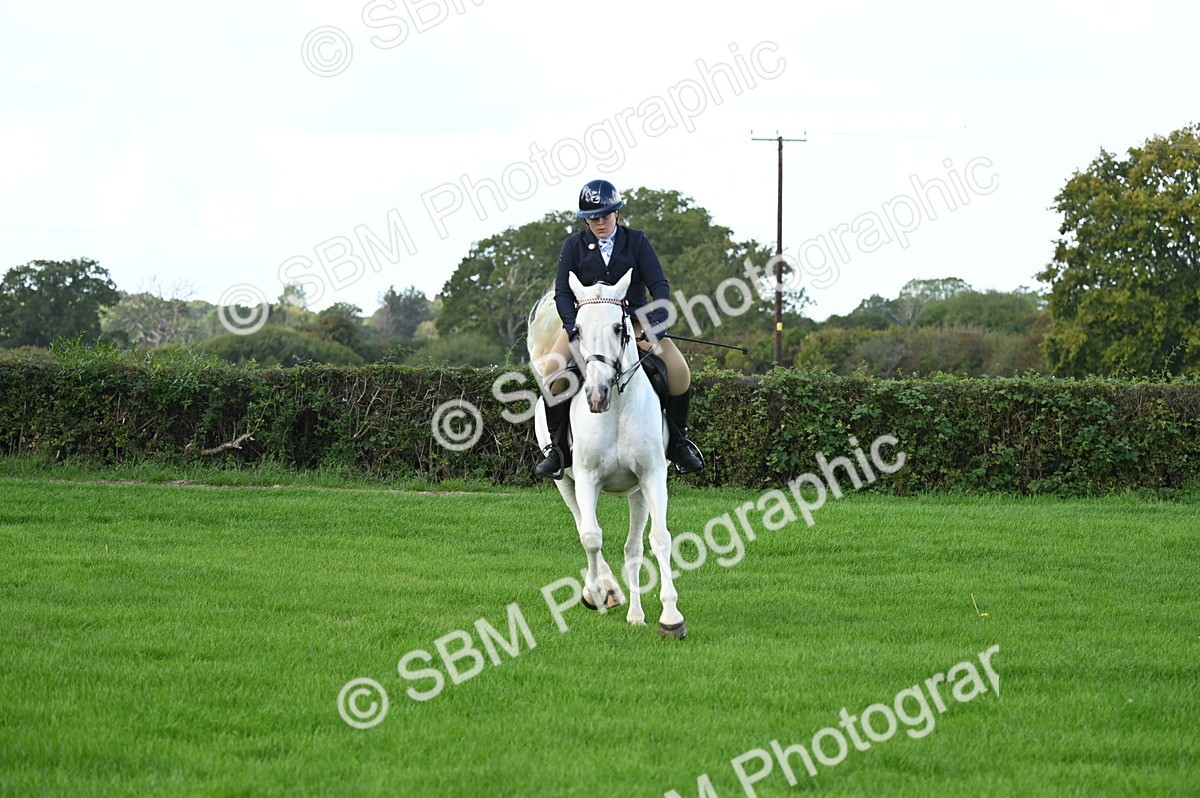 SBM_01696 - S2 - TSR Ridden Horse Showing