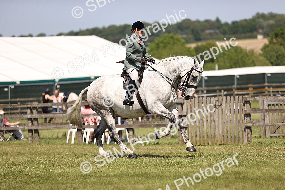SBM_16159 - Class 79-80 - LIHS BSHA Rising Star Ridden Hunter