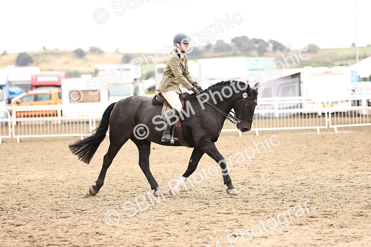 SBM_01386 - Class 54 - Riding Club Horse Pony