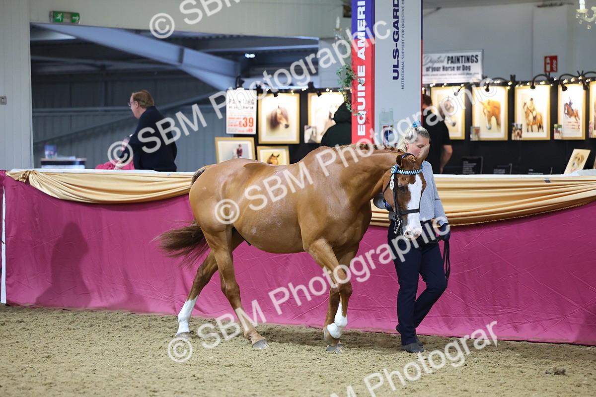SBM_20946 - Class 902 - Supreme Final IH Veteran