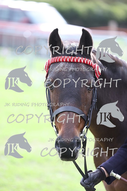 APP_2614 - Class 9 Veterans in hand