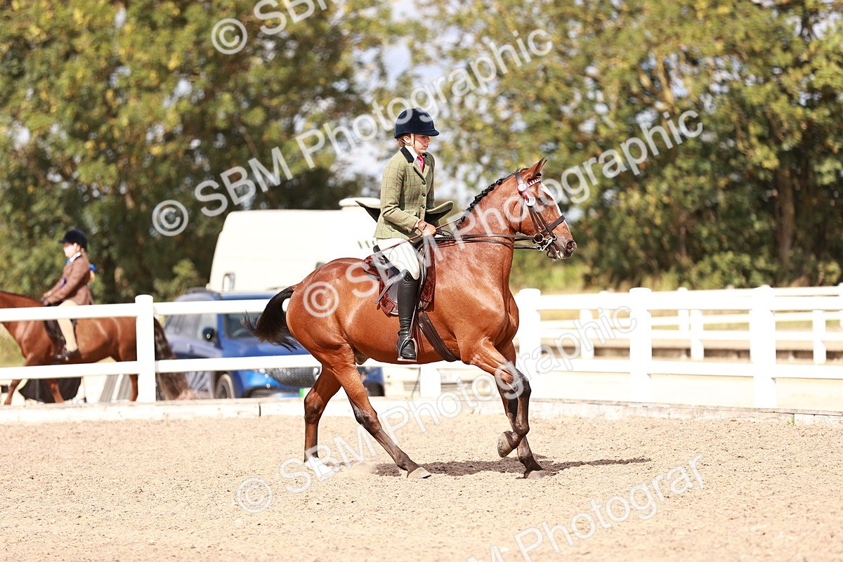SBM_14432 - Class 410 - Grassroots Ridden - Horse
