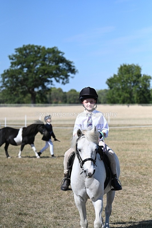 WJ7_1548 - Class 42 Most Handsome Gelding