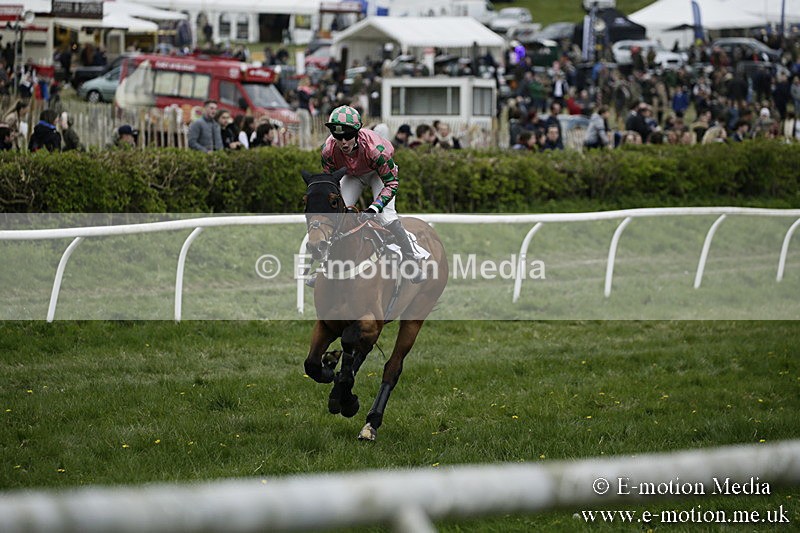 PtP 170417 561 - Old Berks Point-to-Point Lockinge 17/04/17