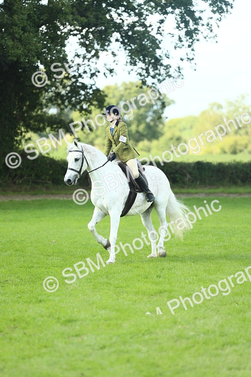 SBM_43035 - S30 - M&M Working hunter Pony