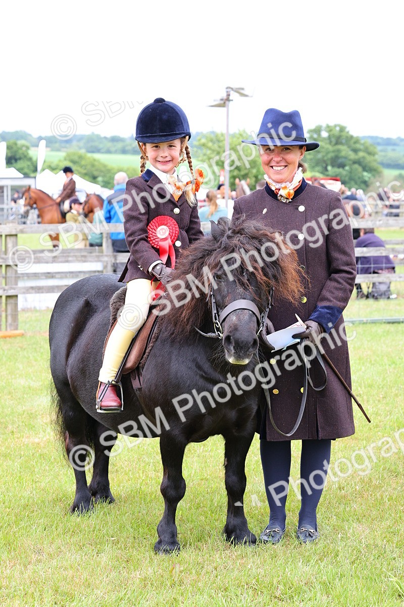 SBM_08357 - Class 42-43 - LIHS BSPS Heritage Working Sports Pony