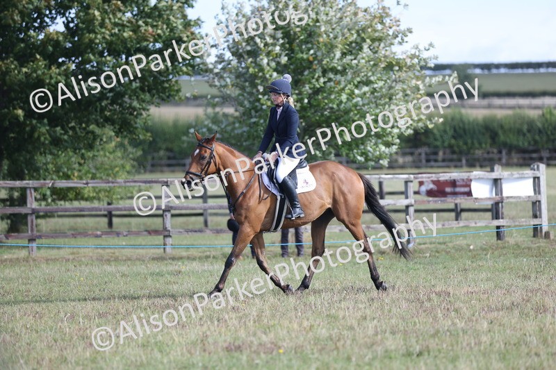 20250831-0871 - Class 14 - Ex Racehorse