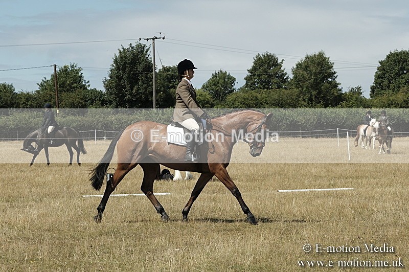 _PJP5831 - Dressage Classes BVRC Show 2018
