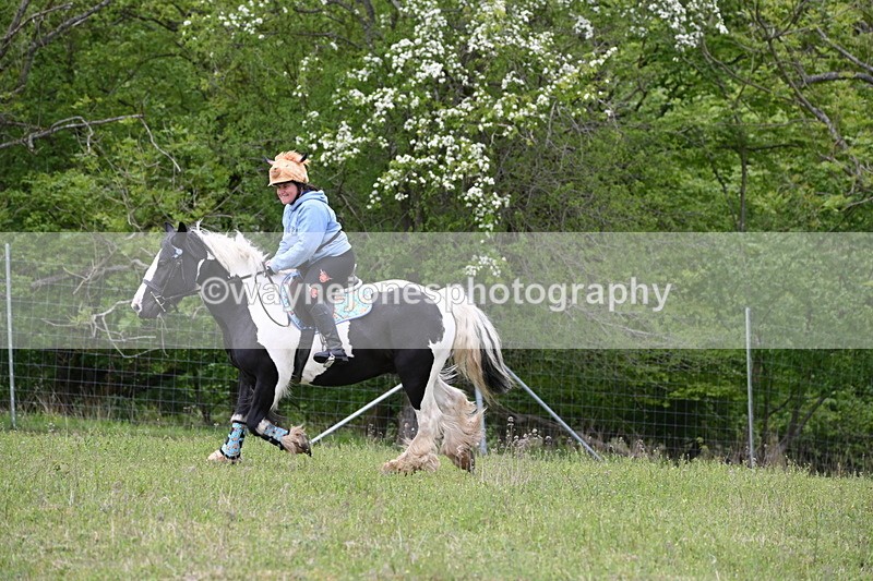 WJ6_1801 - Group 7 A&B Cameras