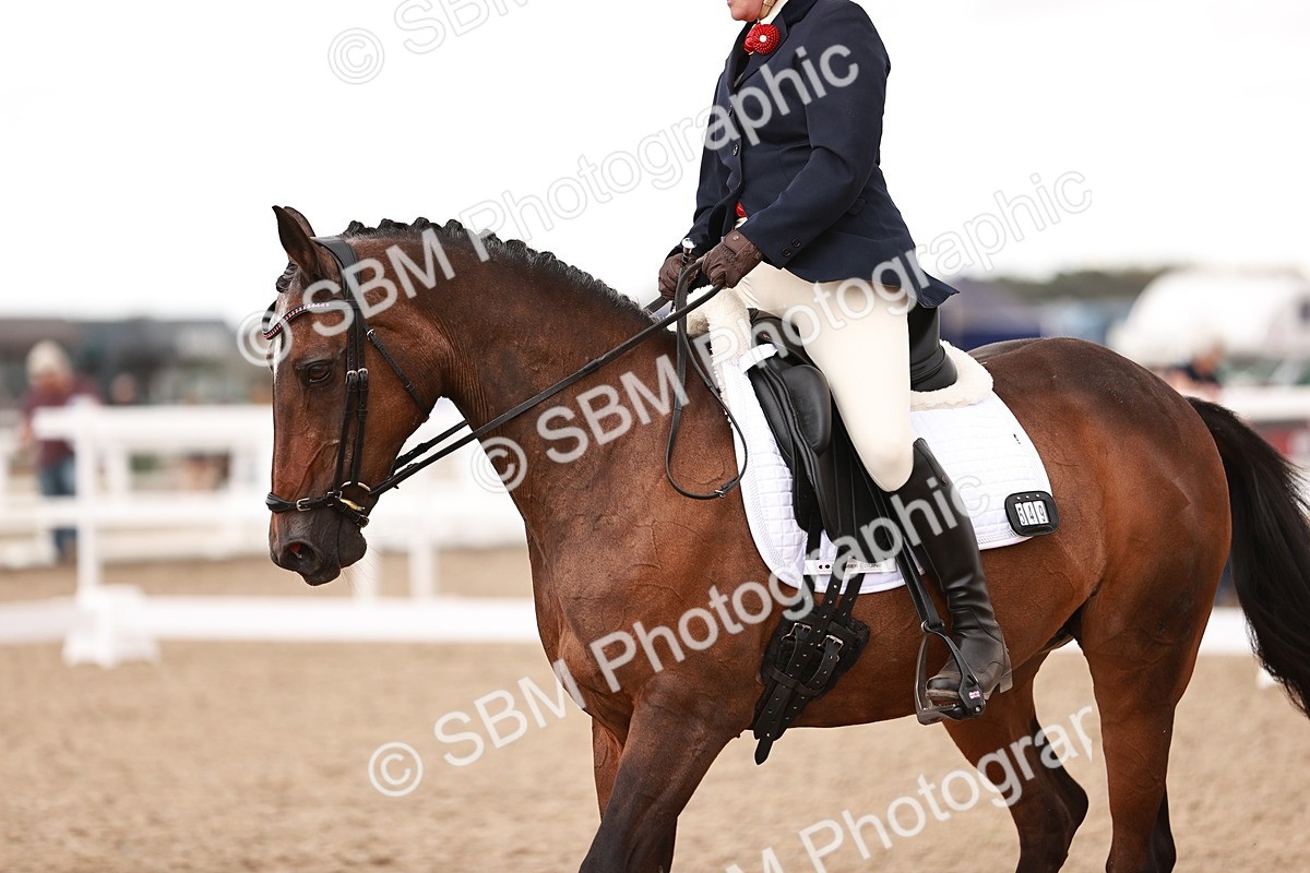 SBM_06507 - Class 38 - Elementary 5