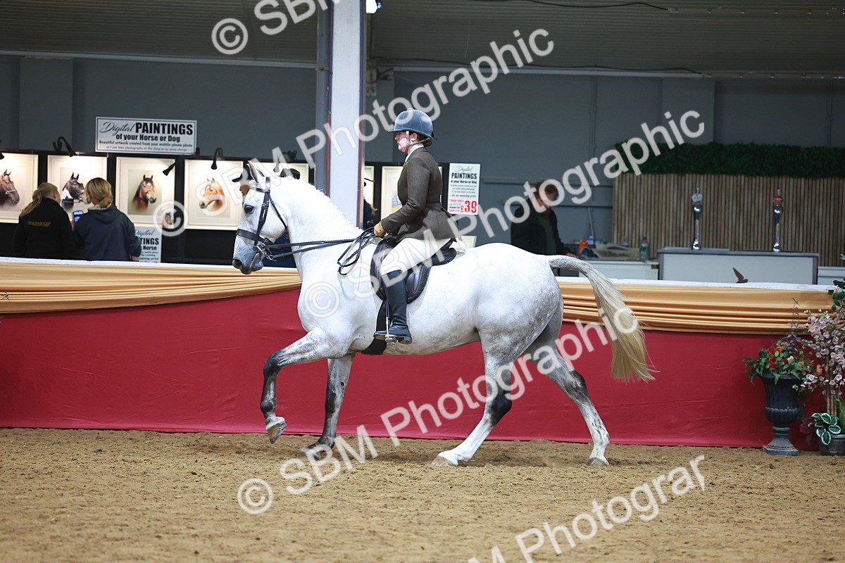 SBM_06061 - Class 12R - Ridden Pre-Vet