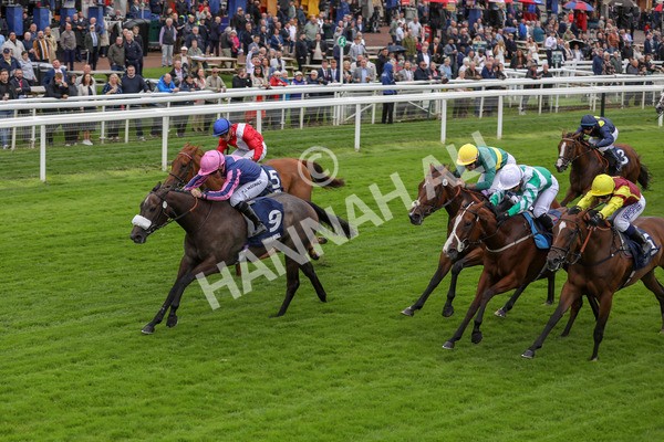 120724-Race 2-Flora Of Bermuda-1637 - Race 2 2.40pm William Hill Summer Stakes