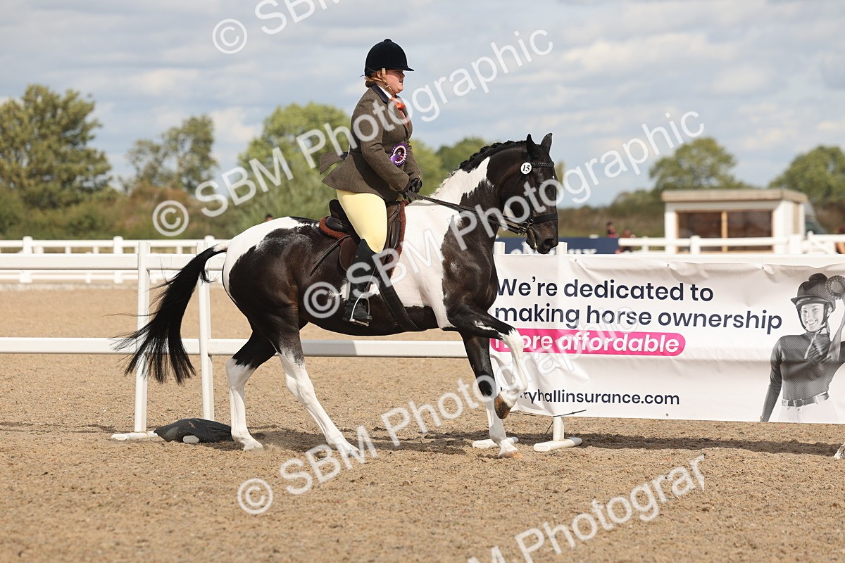 SBM_14879 - Class 308 - Ridden Coloured Horse