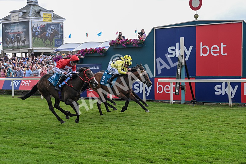 250726-Race 5-Rogue Jewel-7577 - Race 5 15.42pm Sky Bet Price Boosts EBF Fillies' Novice Stakes
