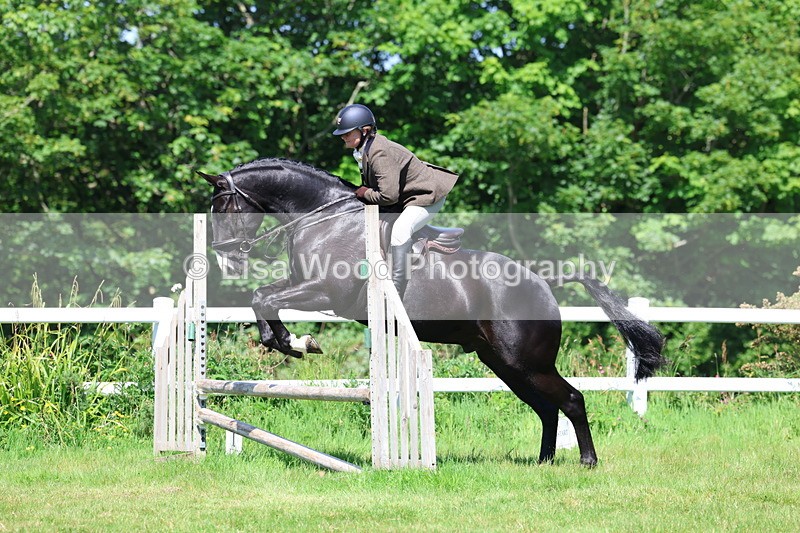 3E7A6992 - Class 30: Novice Working Hunter