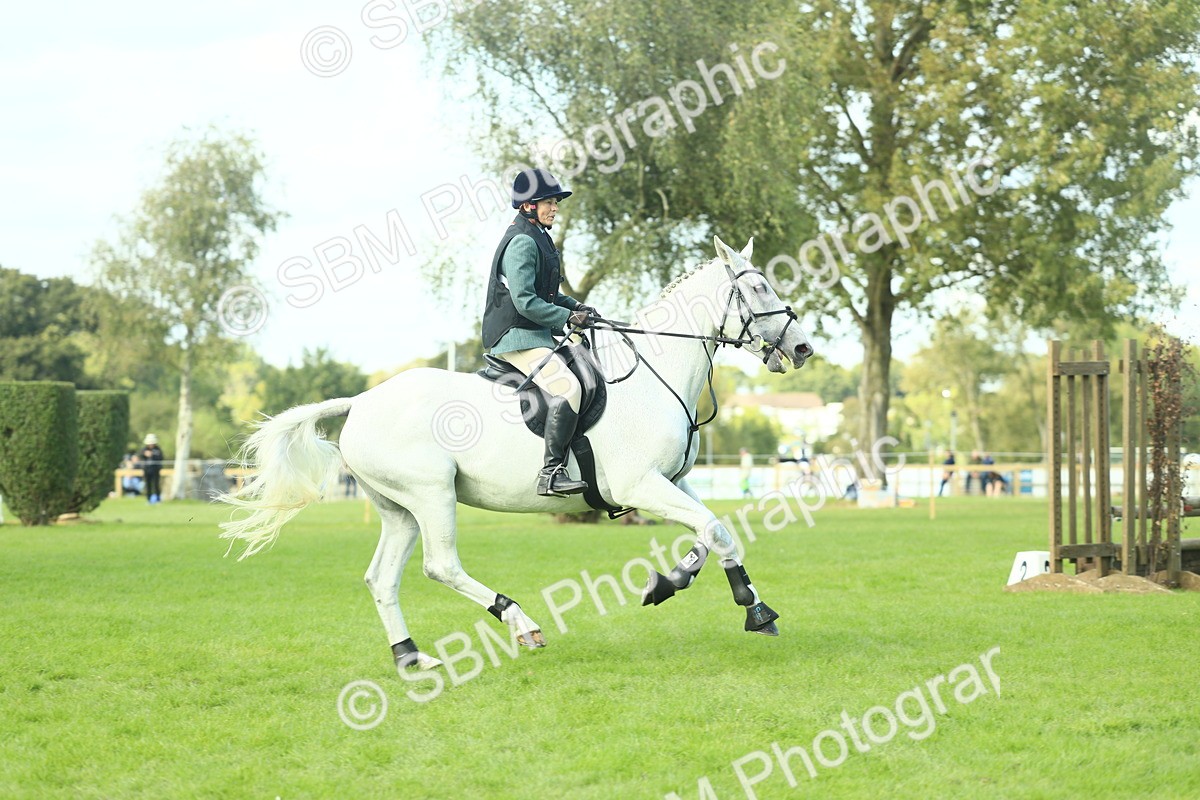SBM_50605 - S33 - Working Hunter & Working Show Horse