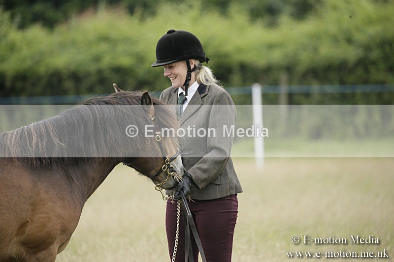 B230619-0075 - Bourne Valley Riding Club Summer Show 23/06/19