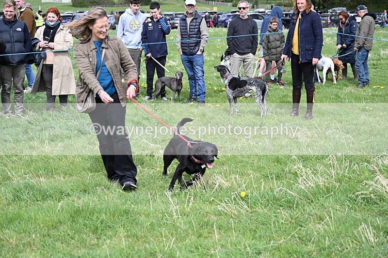 WJ6_8335 - Class 4 Prettiest Bitch