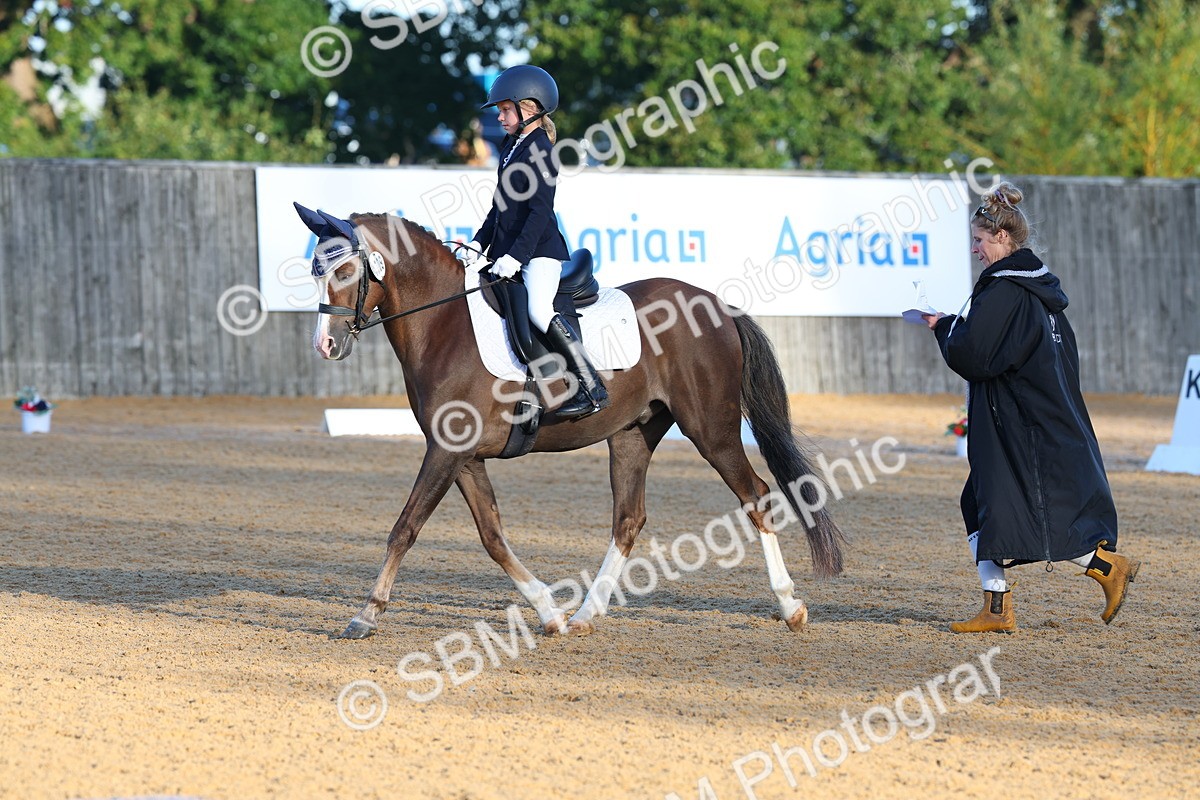 SBM_33447 - D26 - Test Starter Test 1