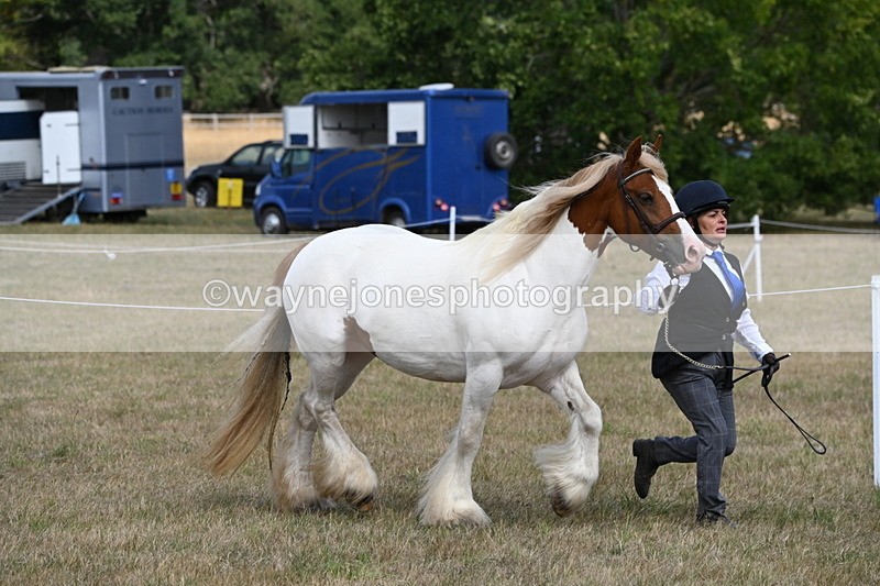 WJ6_6532 - Class 20 In-hand Cob