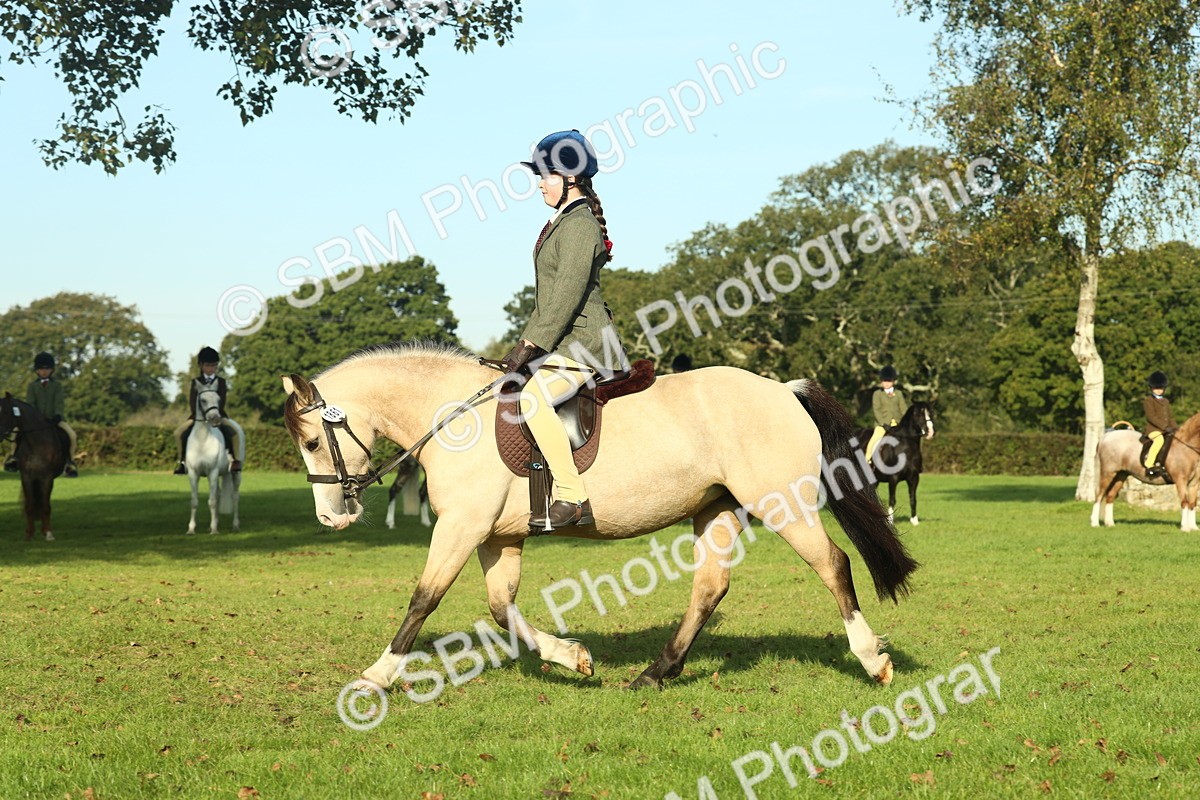 SBM_59157 - S38 - Starters Ridden Showing