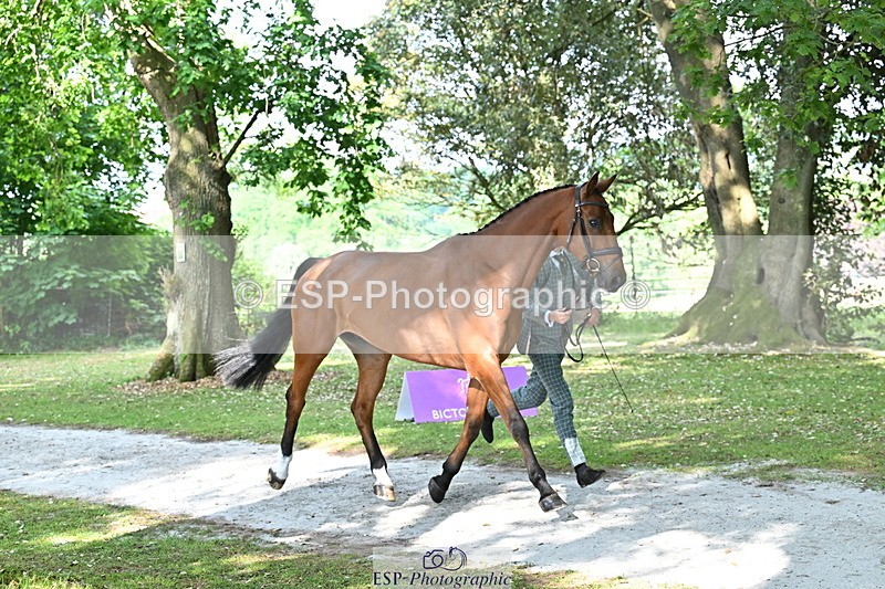 250521A-163950-01265 - C-251-Freddie.Carden-MBF.VITAL.FINESSE