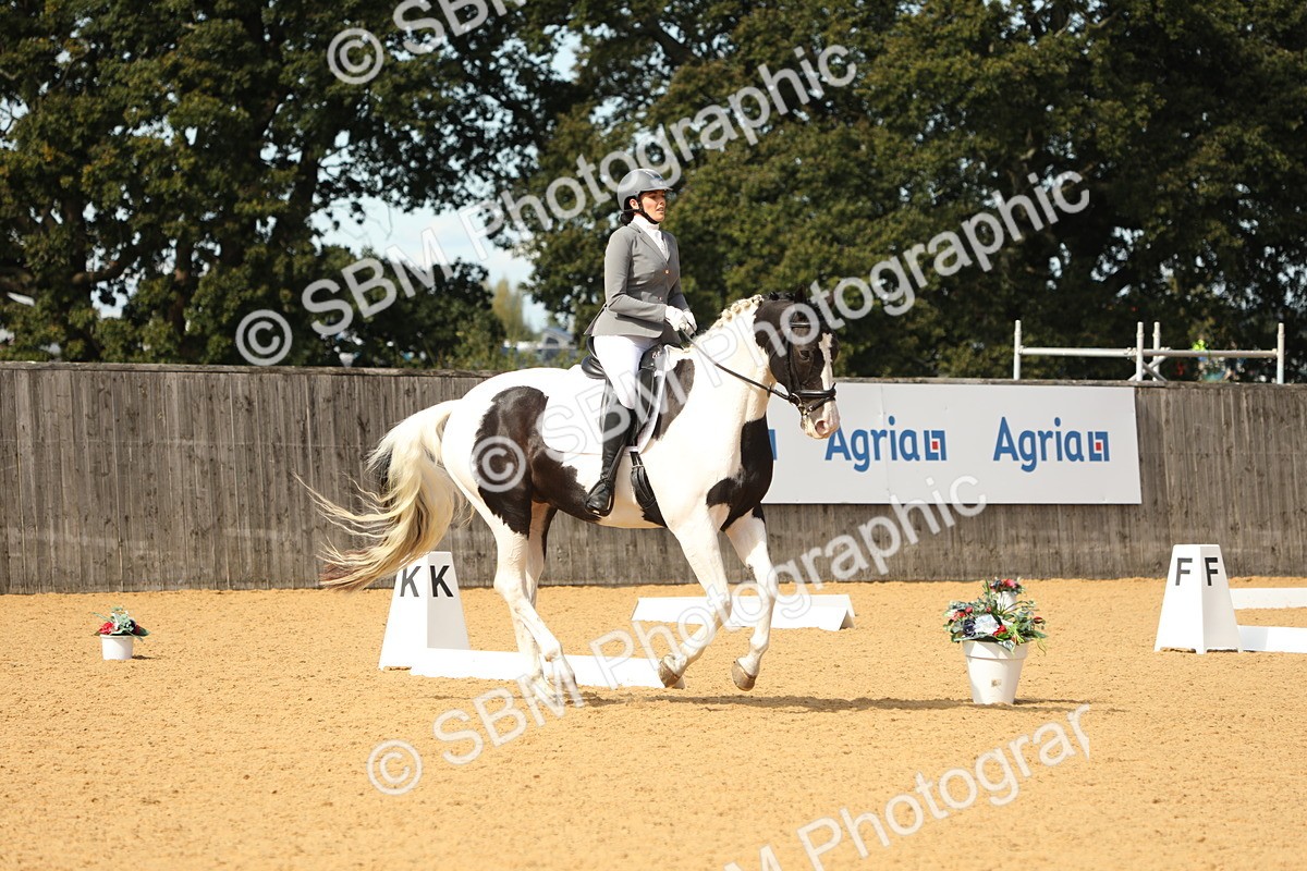 SBM_22235 - D17 - Grand Tour Championship - Novice 27