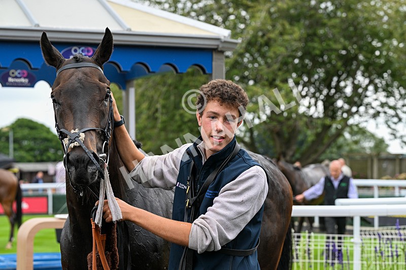 290826-Race 1-Trilby-5385 - Race 1 1.45pm Blink And You Miss It Sprint Handicap