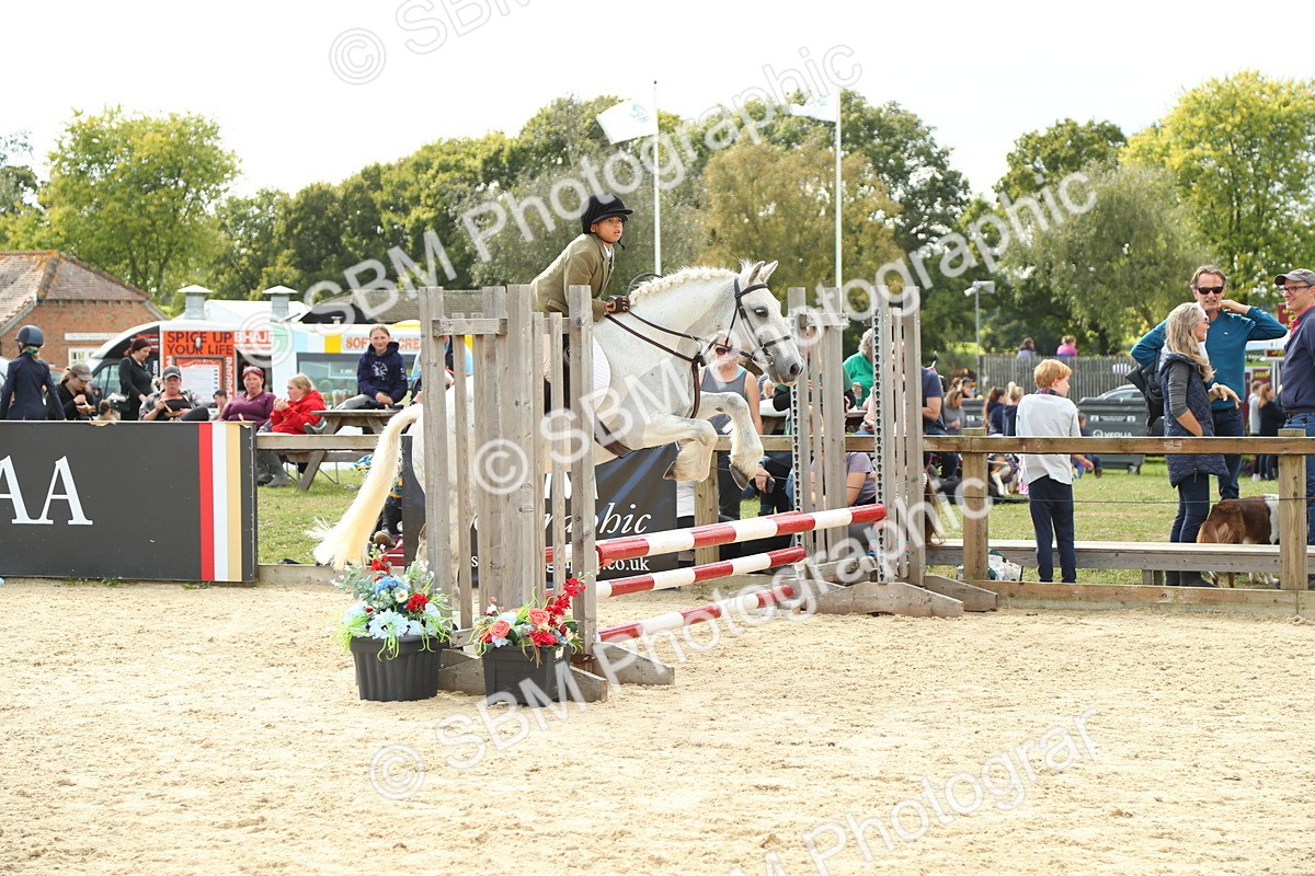 SBM_46604 - J7 - Junior Pony 60cm Championship