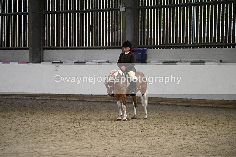 WJ7_3648 - Class 16 Ridden Coloured/ Odd Coloured