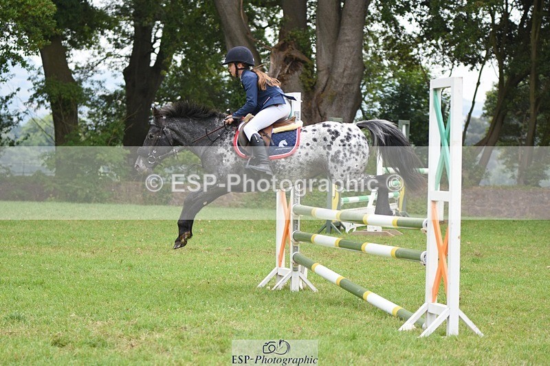 230618-102156-10385 - Cls 28 British Novice & 80cm Open