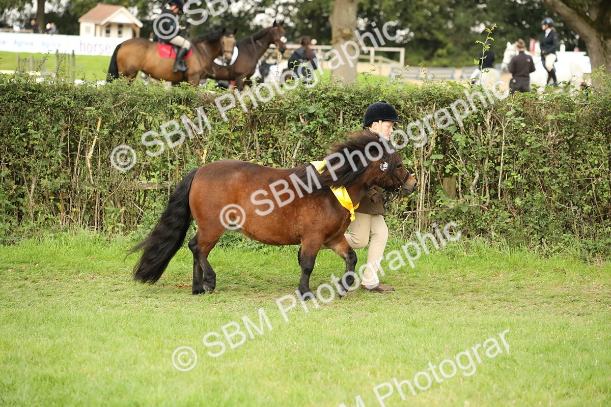SBM_75362 - Equitation Supreme Championship