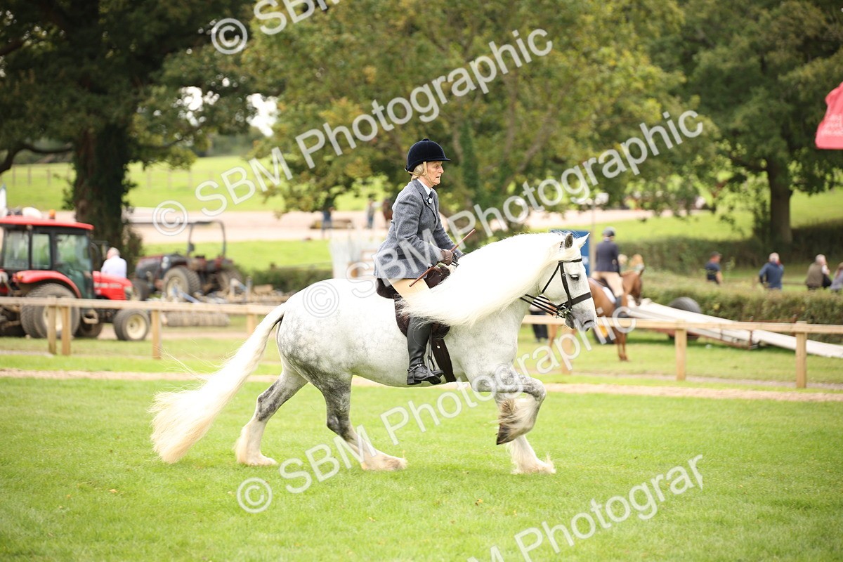 SBM_73477 - S68 - Traditional Cob Ridden