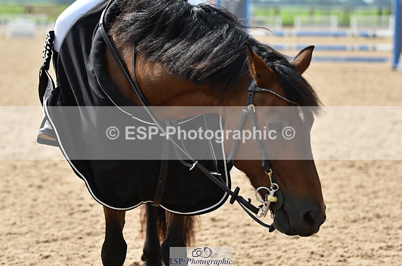 230902A-120334-00910 - Cls 2B Pony Small 80cm