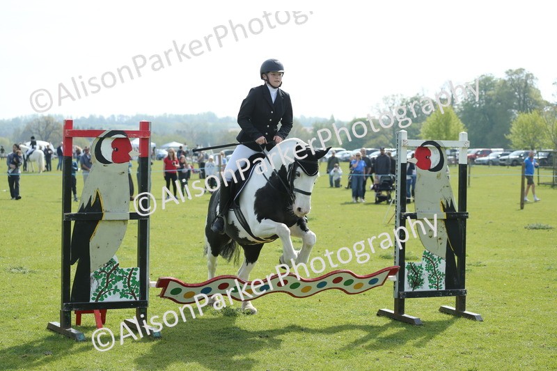 20260426-1464 - Class 14 - Novice 60cm