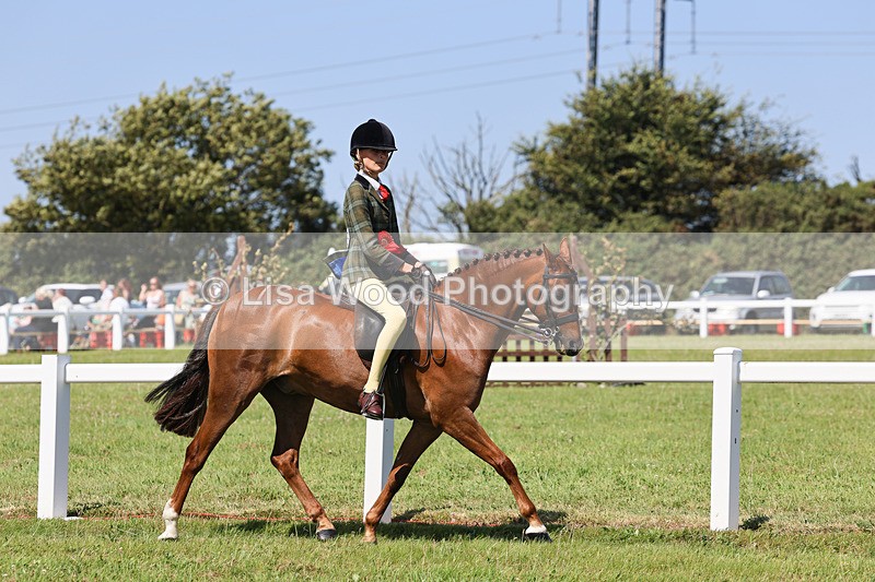 IMG_2068 - Class 34: Show Hunter Pony 153cm and under
