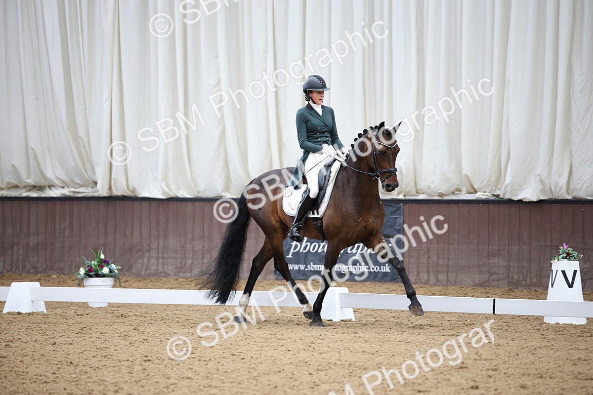 SBM_008010 - Class 12 - FEI PSG 14.46-15.50