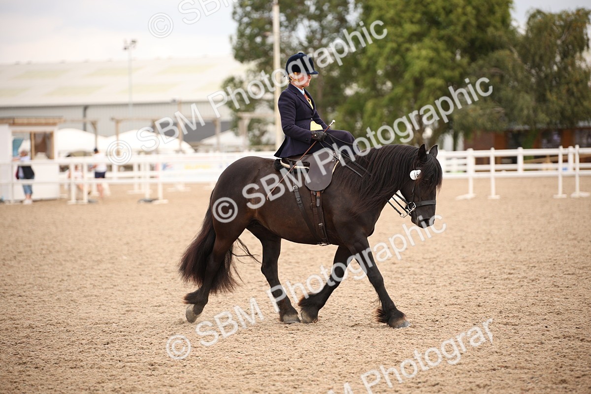 SBM_05387 - Class 22 SSA Equitation