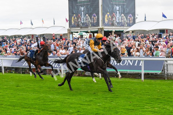 230823-Race 2-Indian Run-0341 - Race 2 2.25pm Tattersalls Acomb Stakes