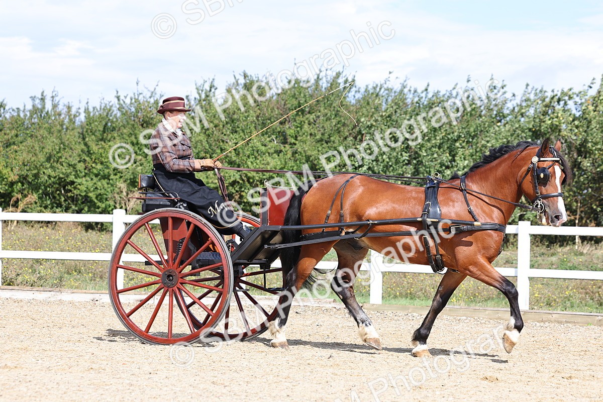 SBM_000883 - Class 8 - Novice Horse or Pony to any vehicle