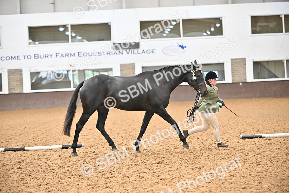 SBM_000263 - Class 7 - ROR Tattersalls In Hand