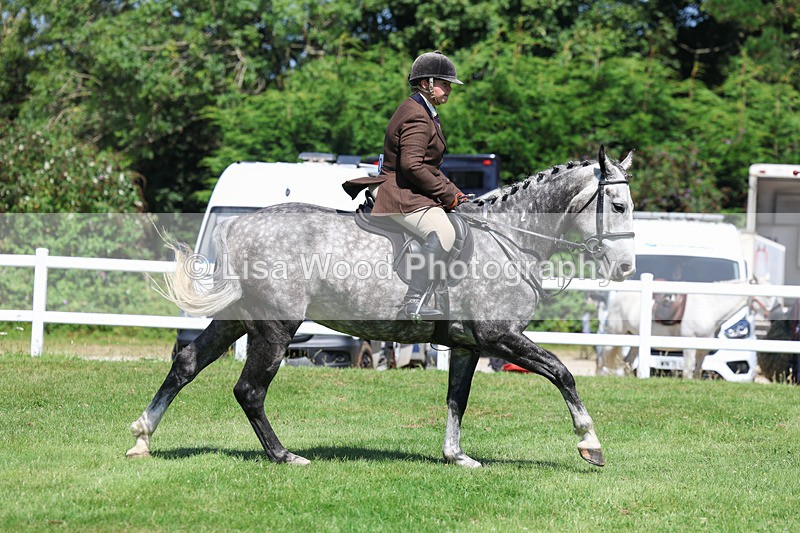 3E7A8954 - Class 6: Open Working Horse