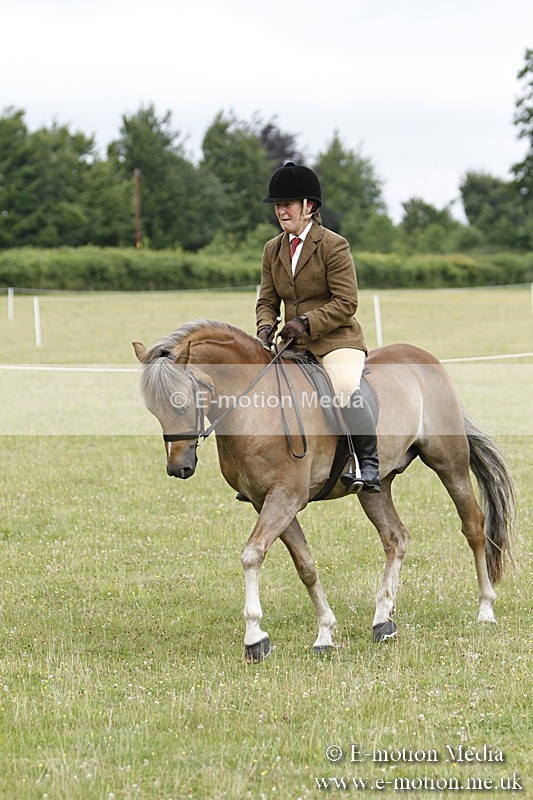 BVR160717-172 - Ring 3 BVRC Show 16/07/17