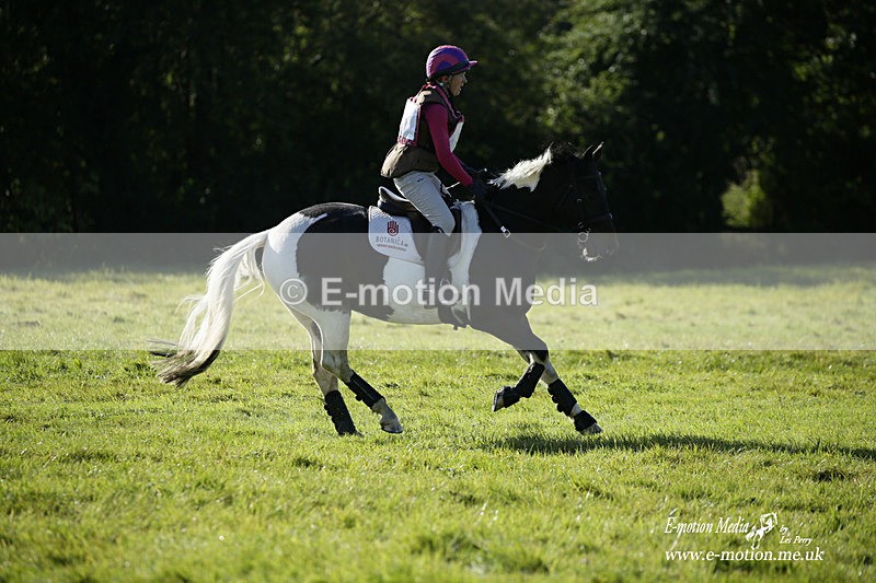 WWHT 031021 661 - Novice Restricted (0.80m) 03/10/21