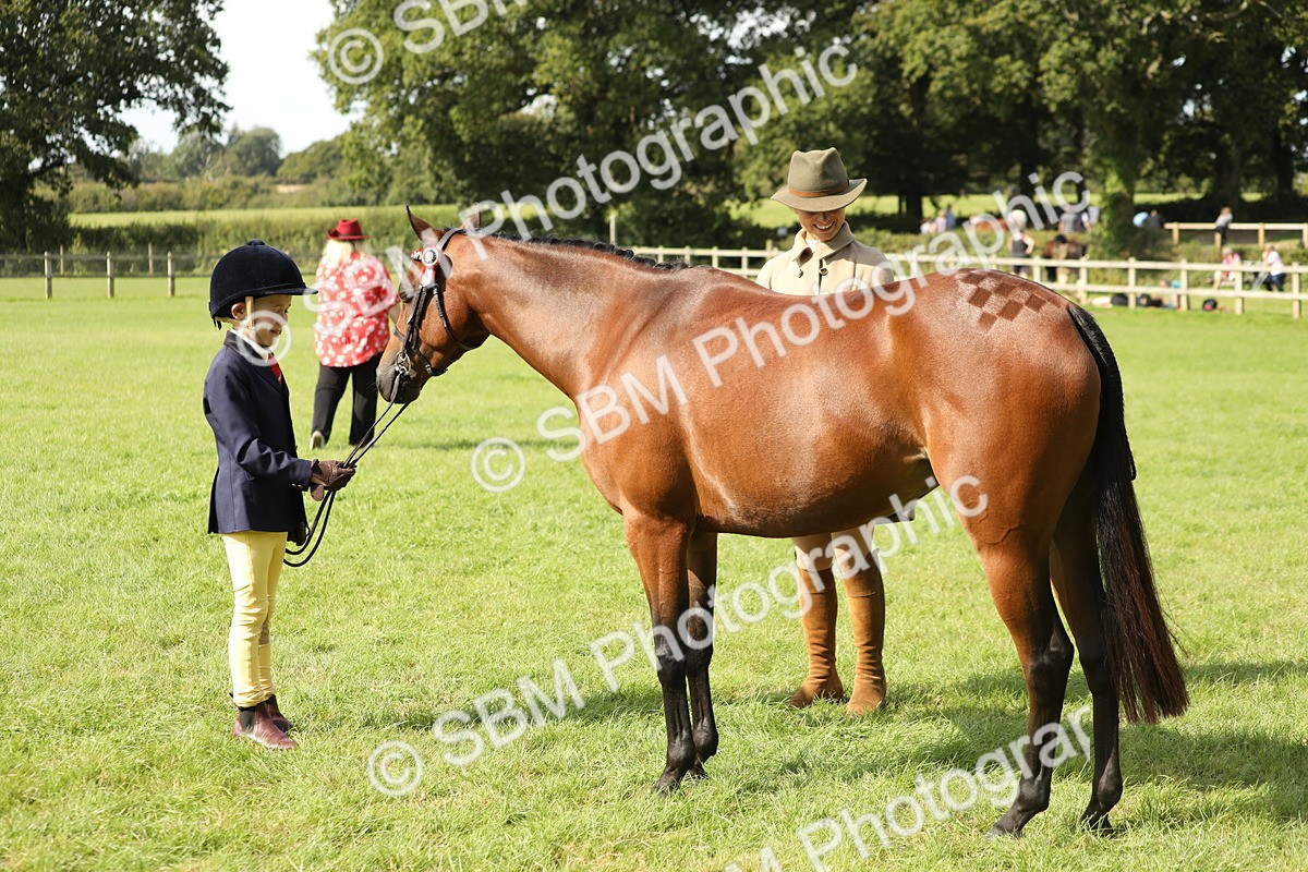 SBM_67820 - S39 - Junior Handler 8  Years & Under