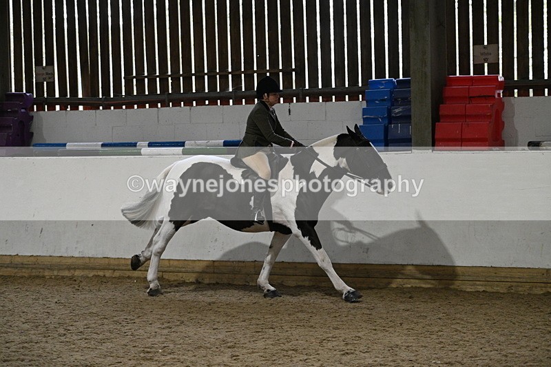 WJ7_4078 - Class 17 Ridden Cob