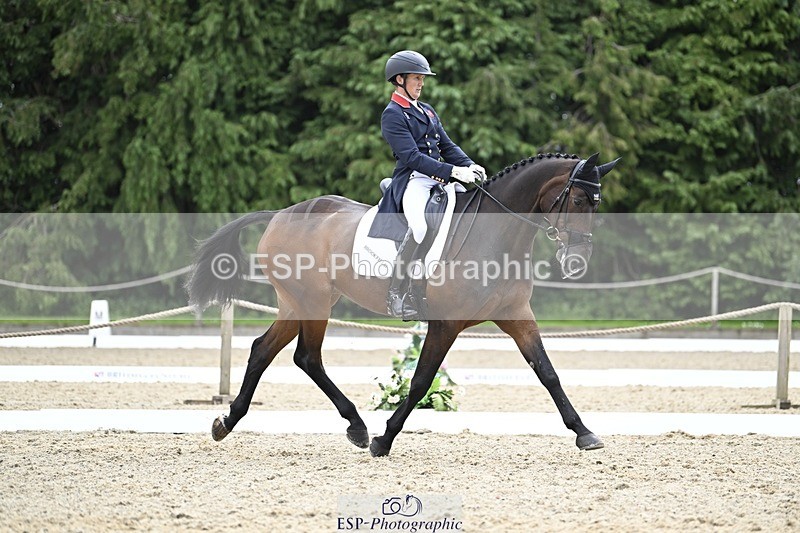 000101-204317-04202 - 413-BROOKFIELD_QUALITY-Tom_McEwen